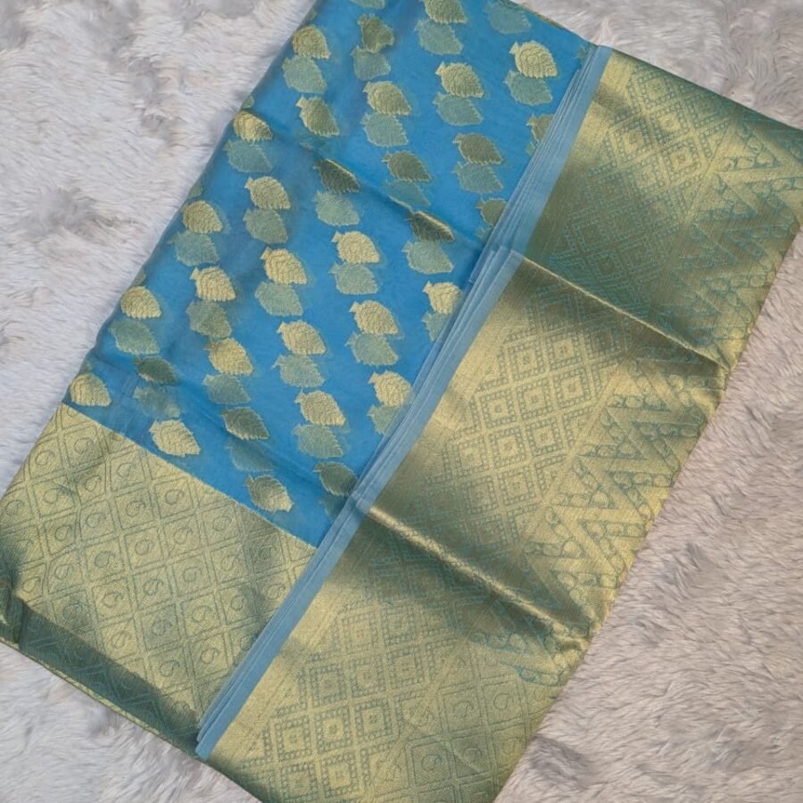 Pure Organza Patli Design Saree